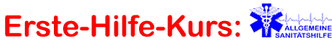 Erste-Hilfe-Kurs